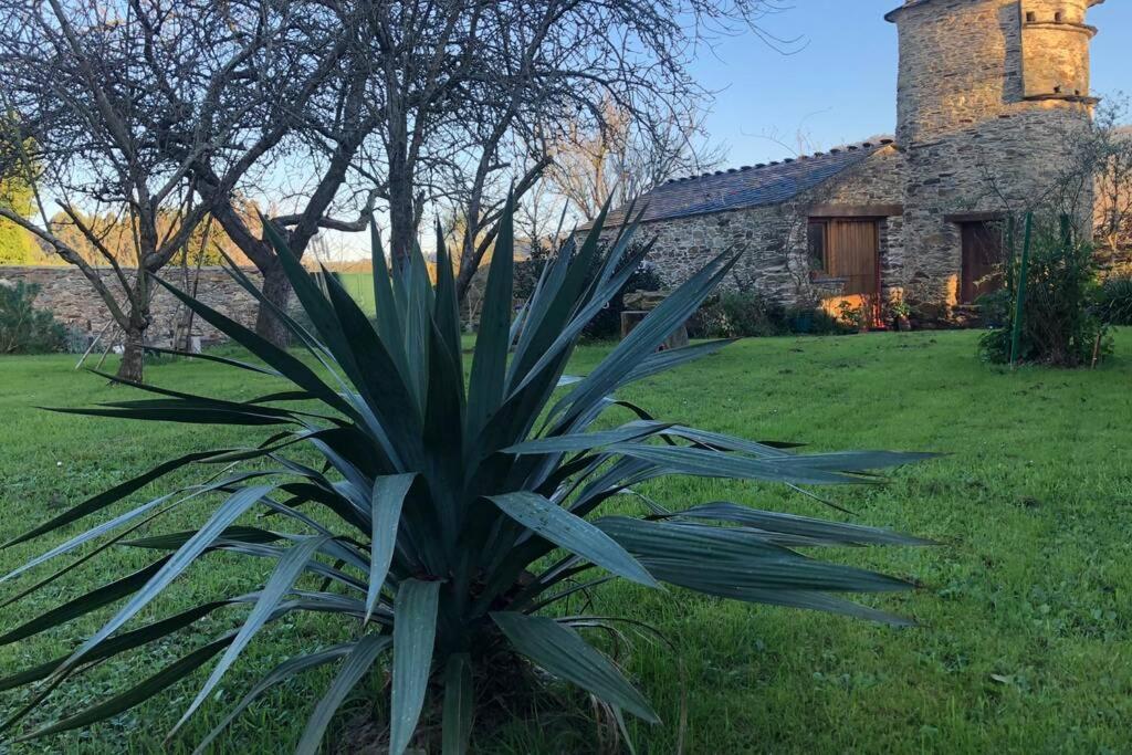 Apartamento Turistico Con Precioso Jardin - Los Gayoles Rural Кастропол Екстериор снимка